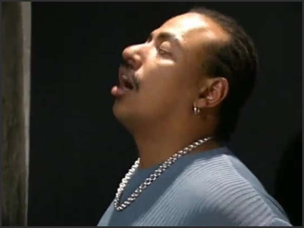 Nicky Reed Lesben spielen mit Dildo und Strap-on