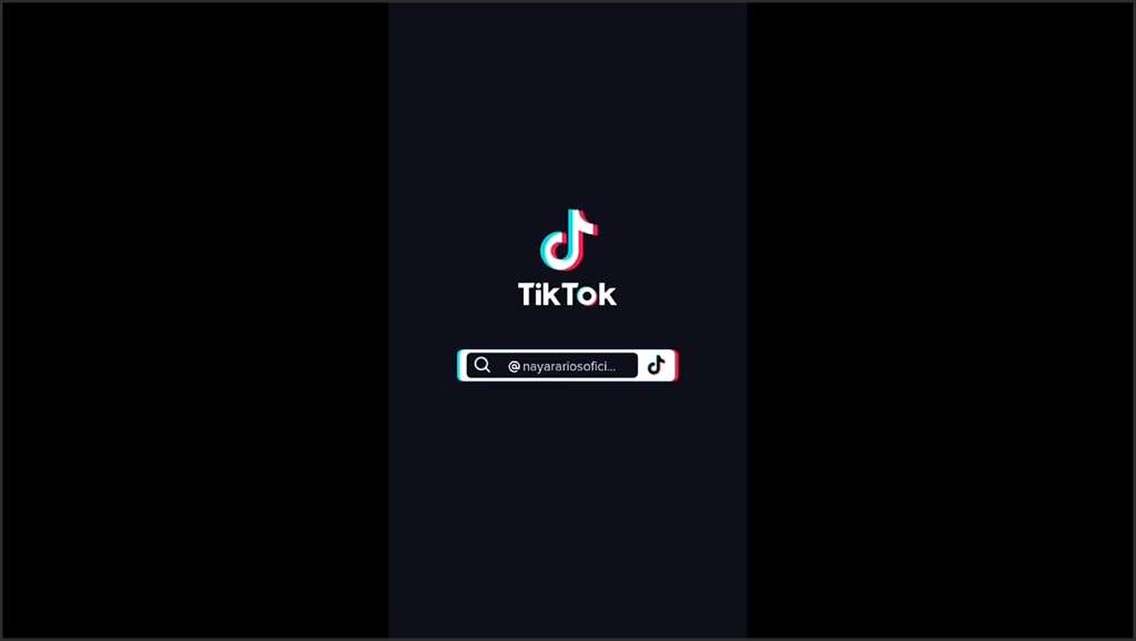 TikTok Porno Video gibt Blowjob bei Bewerbungsgespräch